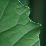 3开奖乐彩网最新官方开奖公告与数据查询 659ywmp6