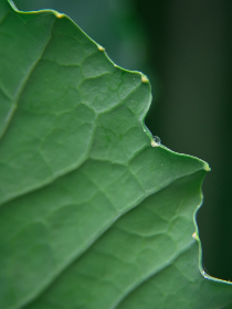 3开奖乐彩网最新官方开奖公告与数据查询 3开奖乐彩网最新官方开奖公告与数据查询