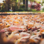 3开奖直播现场全程直击,见证幸运号码揭晓时刻 6z162j6u