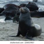 3地开奖号3D开奖号最新结果与走势分析 fpj2uf3w