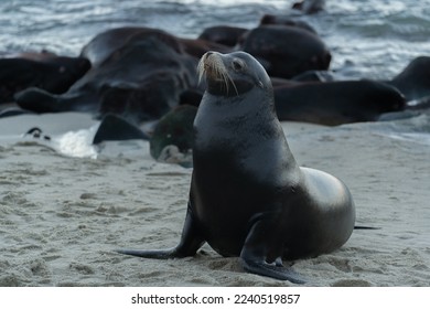 3地开奖号3D开奖号最新结果与走势分析 3地开奖号3D开奖号最新结果与走势分析