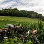 3开奖效果如何影响中奖者命运轨迹 tap4ct4w8